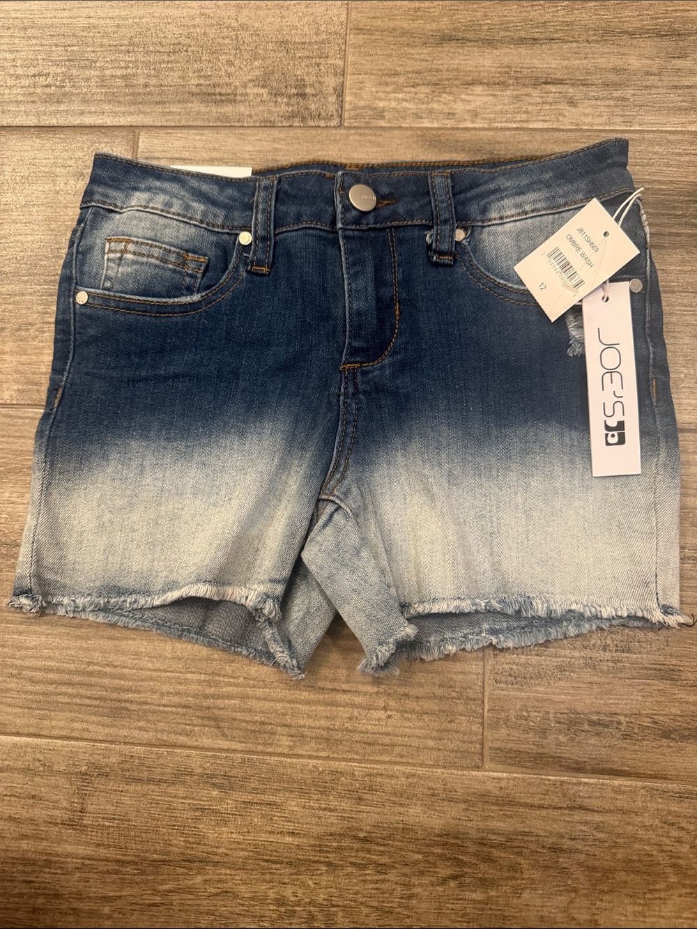 Joe's Jeans Blue Ombre Raw Hem Denim Shorts